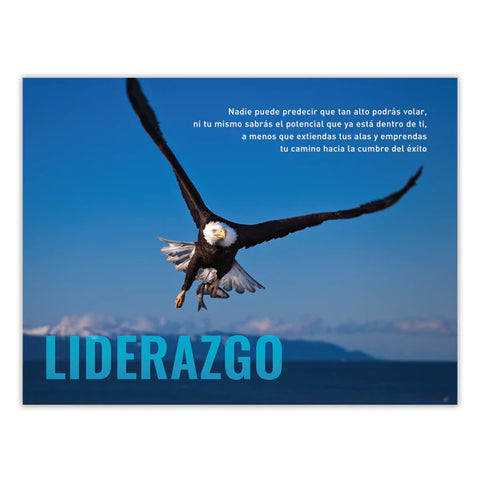 Liderazgo (Afiches modernos)