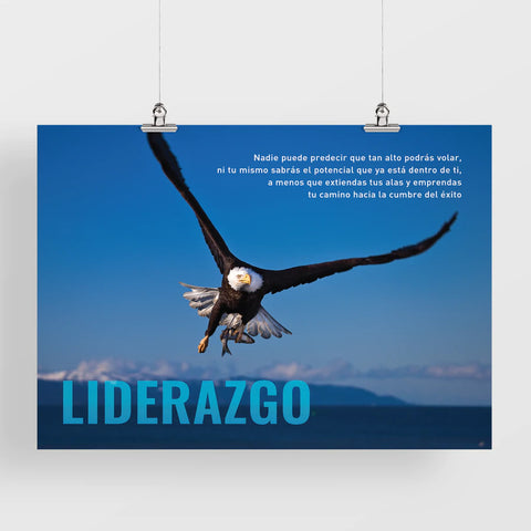 Liderazgo (Afiches modernos)