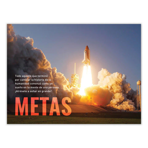Metas (Afiches modernos)