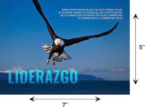 Liderazgo (Postales modernas)