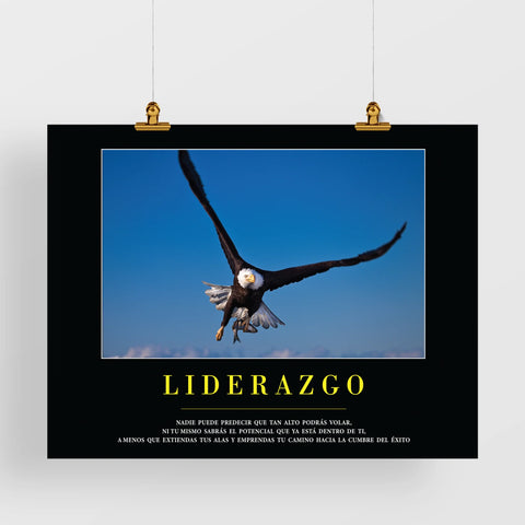 Liderazgo (Afiches clásicos)